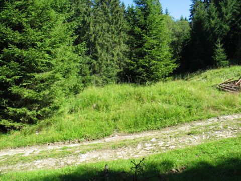 Foto 30